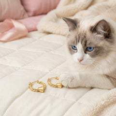 A fluffy white and gray cat with blue eyes lies on a cream quilted bedspread next to a pair of gold heart-shaped hoop earrings. Pink bedding and a soft blanket are visible in the background.