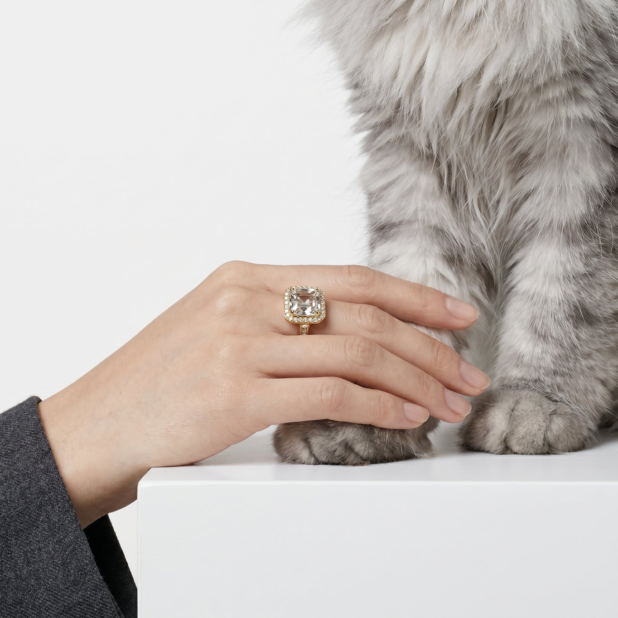 A gold ring with a cushion-cut clear gemstone and a halo of small clear stones, worn on a person's hand as they gently touch the paw of a fluffy gray cat on a white surface.