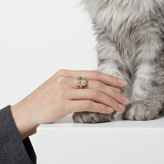 A gold ring with a cushion-cut clear gemstone and a halo of small clear stones, worn on a person's hand as they gently touch the paw of a fluffy gray cat on a white surface.