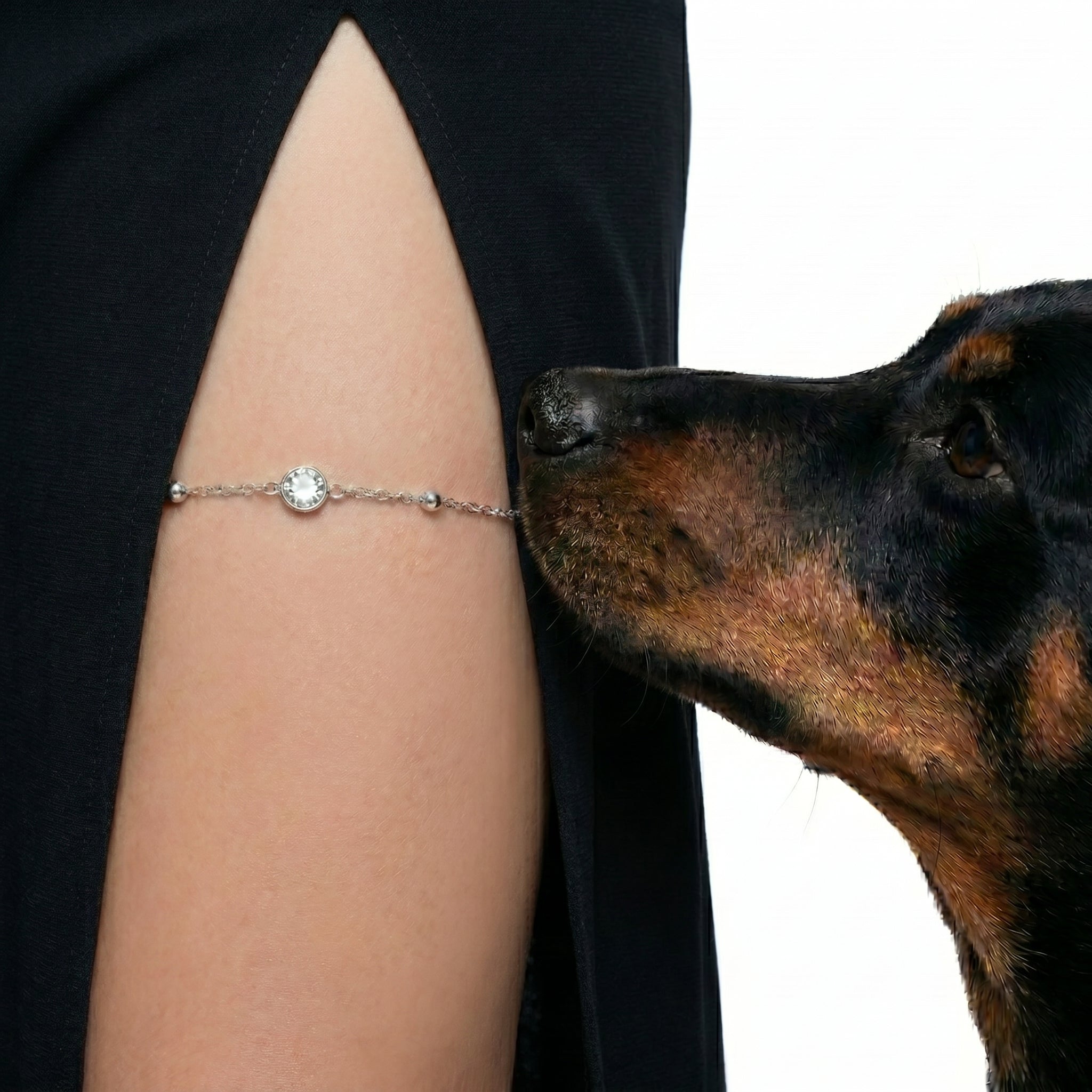 A close-up of a delicate silver chain bracelet with a central clear gemstone worn on a person's upper arm, with a Rottweiler dog licking the bracelet against a plain white background.