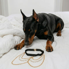 A black and tan Doberman dog lies on a white bed while looking at a set of pet jewelry, including a black beaded collar and two layered necklaces with gold and white pearl chains.