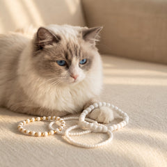 A fluffy cream and gray cat with blue eyes lies on a beige fabric surface, looking at several beaded rings and bracelets placed in front of it.