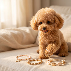 A small fluffy tan dog sits on a cream fabric surface in a softly lit indoor setting, with several pastel and gold bracelets placed in front of it.