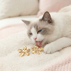 A fluffy white and gray cat lies on a soft cream blanket, licking its lips near two small gold flower-shaped earrings.
