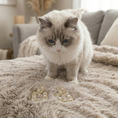 A fluffy white and gray cat stands on a beige sherpa blanket in a cozy living room, looking down at a pair of gold-tone bow-shaped earrings embellished with clear rhinestones.