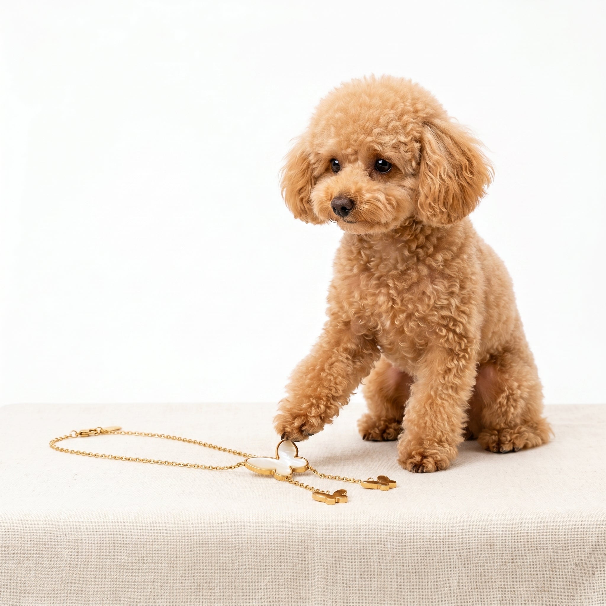 A small fluffy tan dog stands on a light fabric surface, reaching toward a delicate gold-tone chain necklace with a cream-colored central charm, photographed against a clean white studio background.
